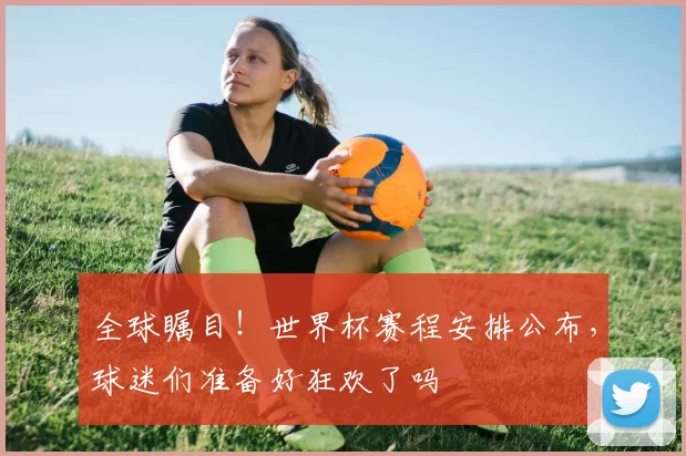 全球瞩目！世界杯赛程安排公布，球迷们准备好狂欢了吗