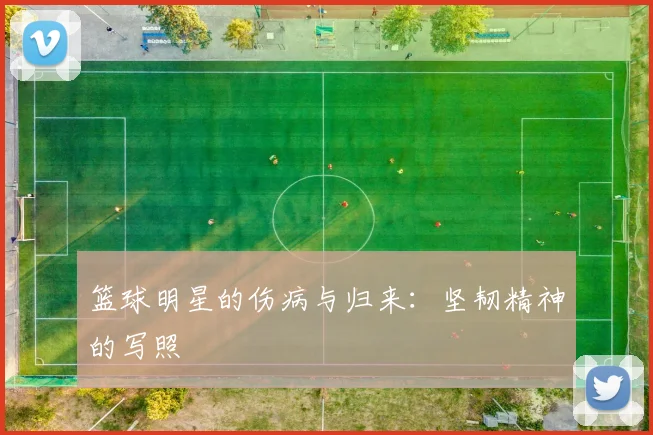 篮球明星的伤病与归来：坚韧精神的写照